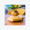Ghiveci magnetic pentru bonsai plutitor, stil nordic – un cadou modern si creativ pentru decorarea locuintei