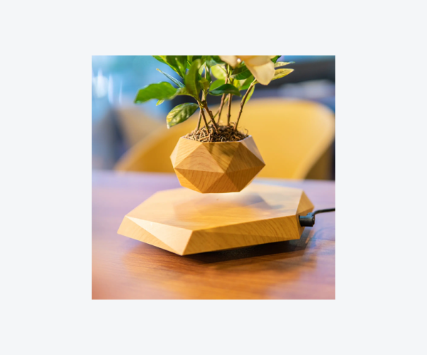Ghiveci magnetic pentru bonsai plutitor, stil nordic – un cadou modern si creativ pentru decorarea locuintei