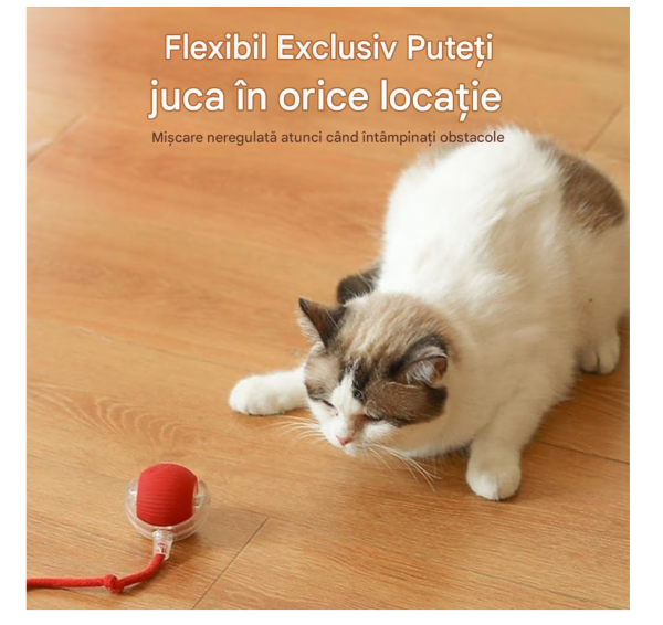 Jucarie Interactiva Smart pentru Pisici – Distractie Nesfarsita pentru Felina Ta